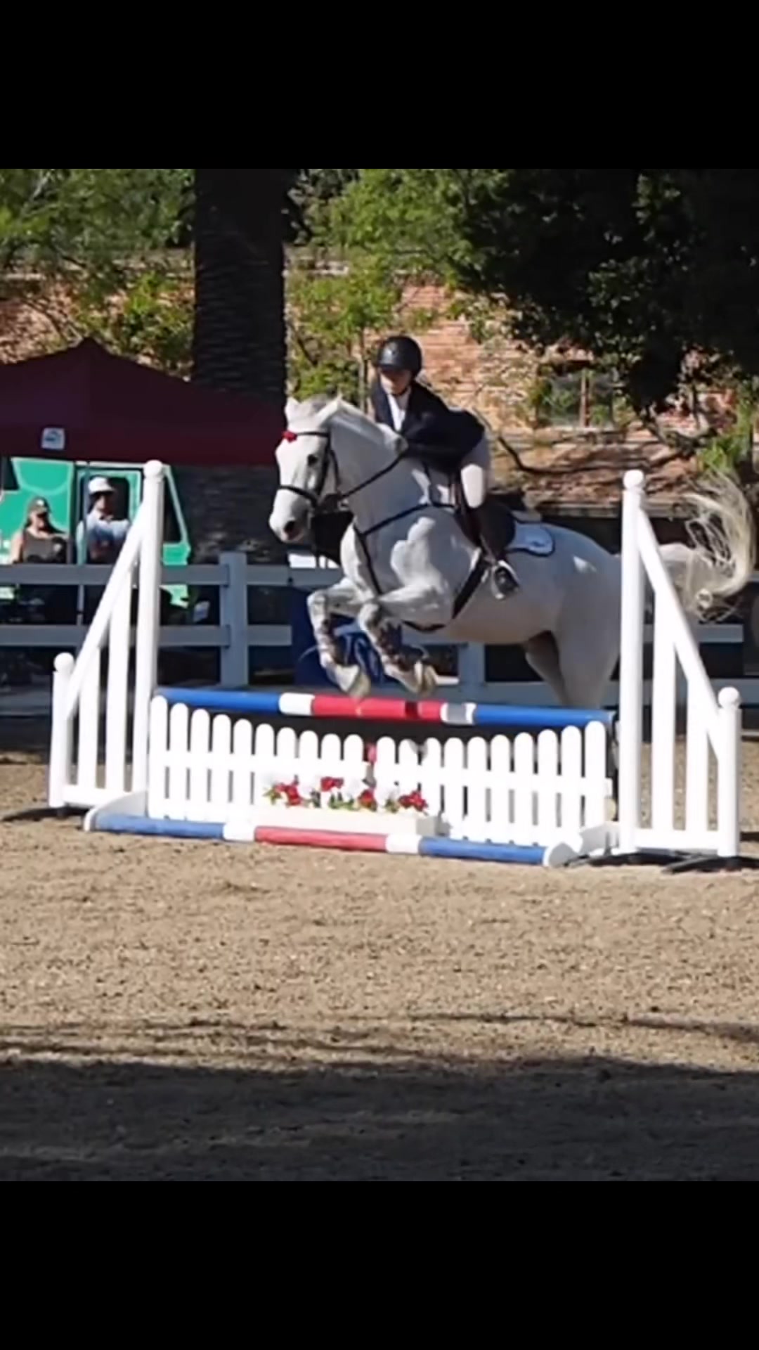 @UBC Equestrian Team