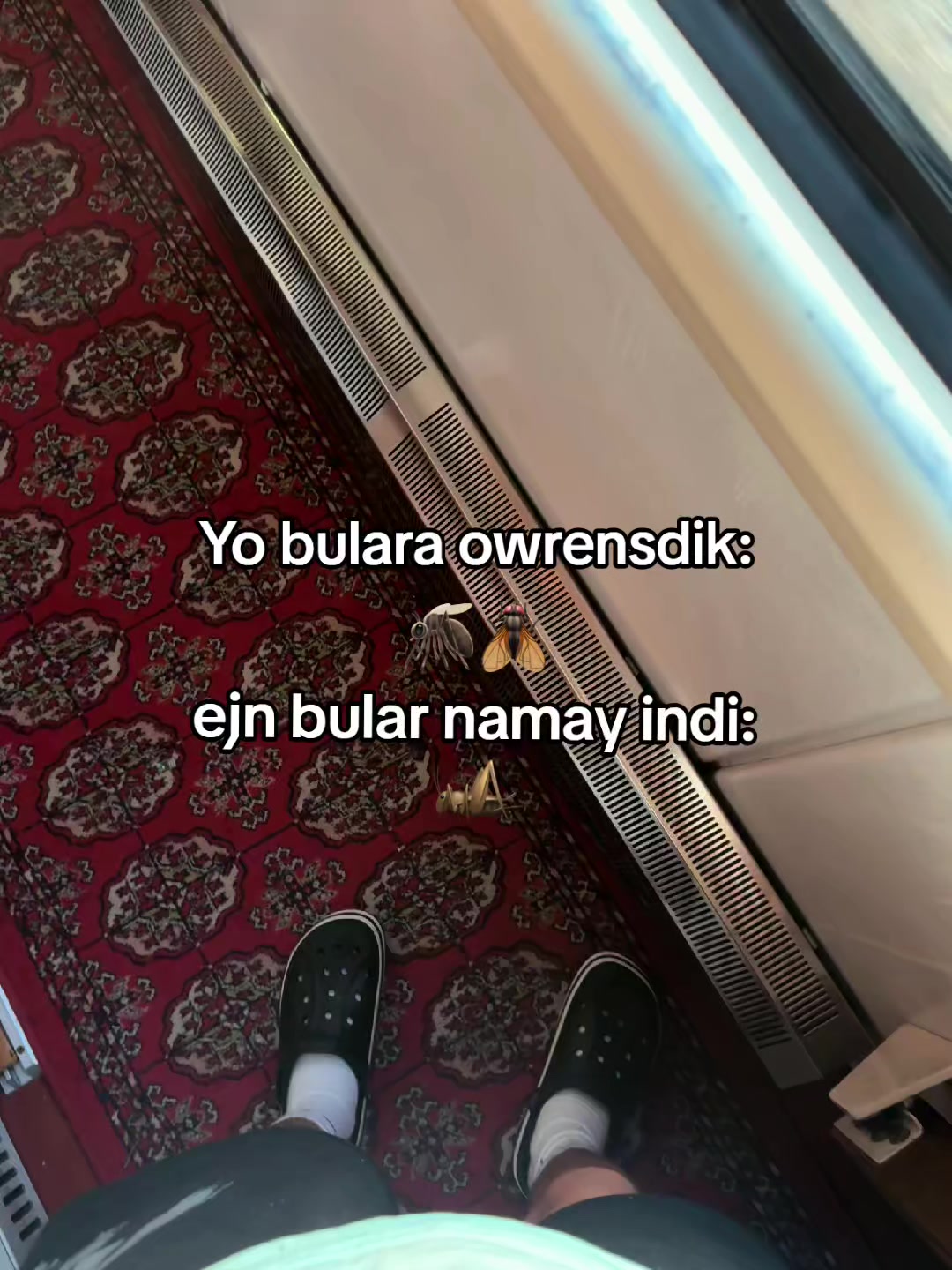 @akmdw🪄