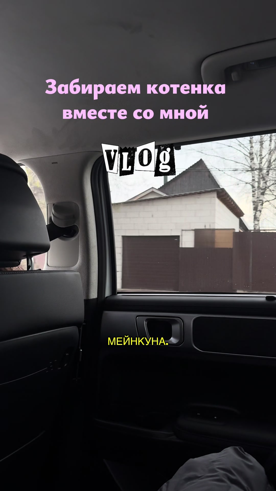 @Emilia