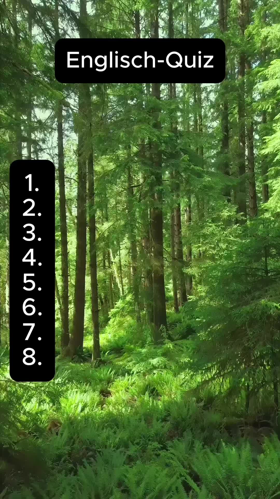 @DailyQuizMaster