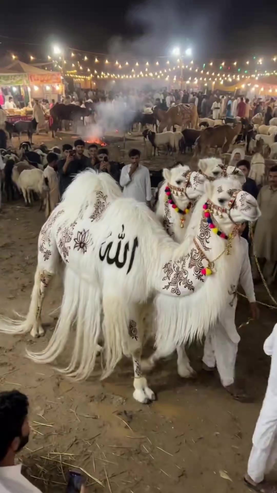 @﷽🕋﷽Sumaiya🤲 ﷺ🕋ﷺ