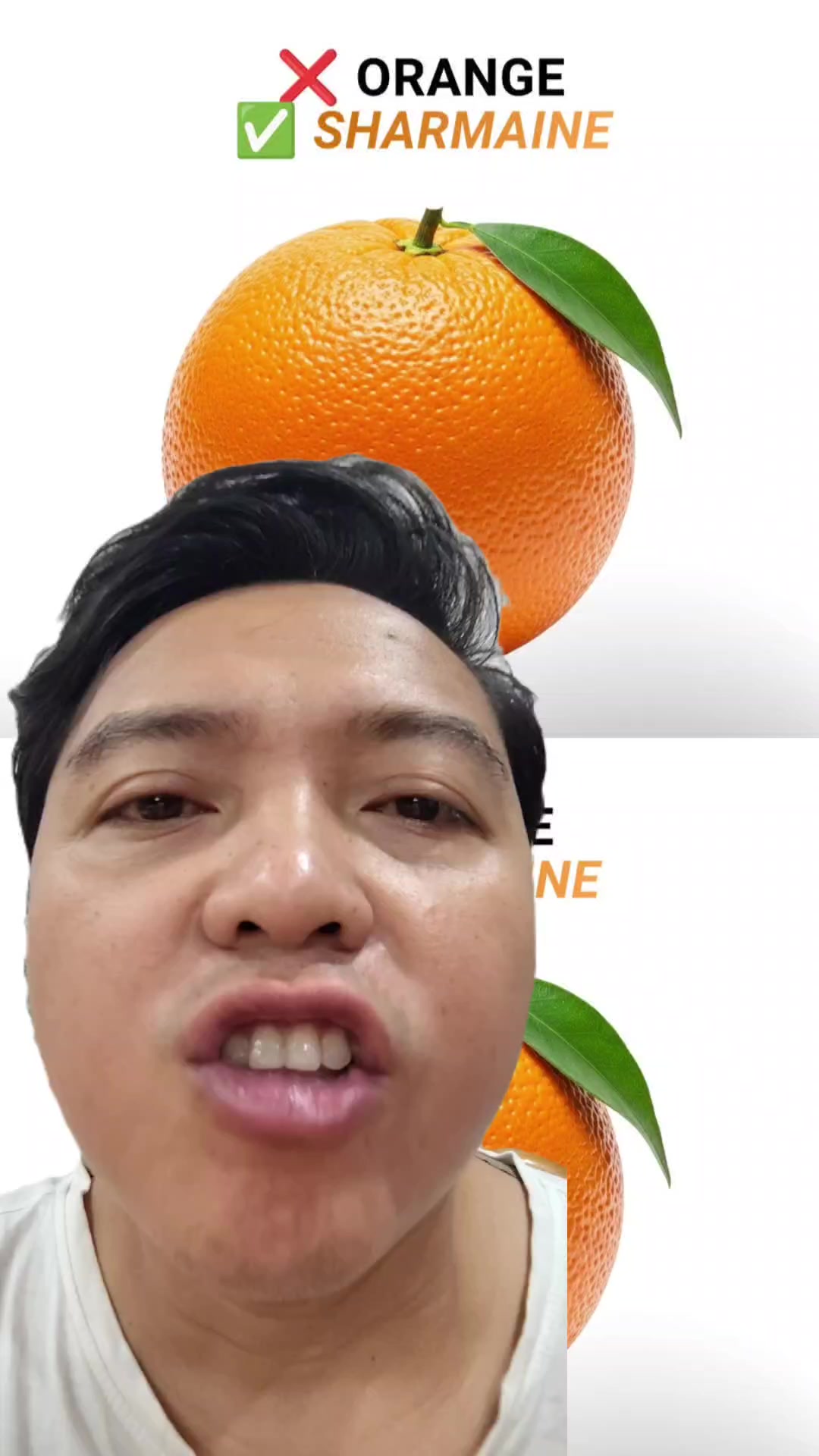 @punetnet