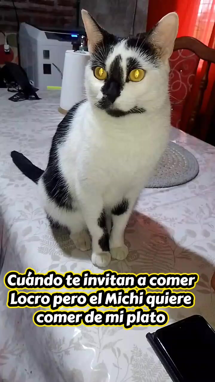 @Bibi 💙🇦🇷