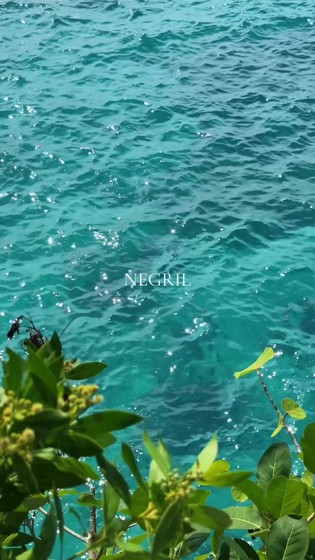 @Justin 🇯🇲