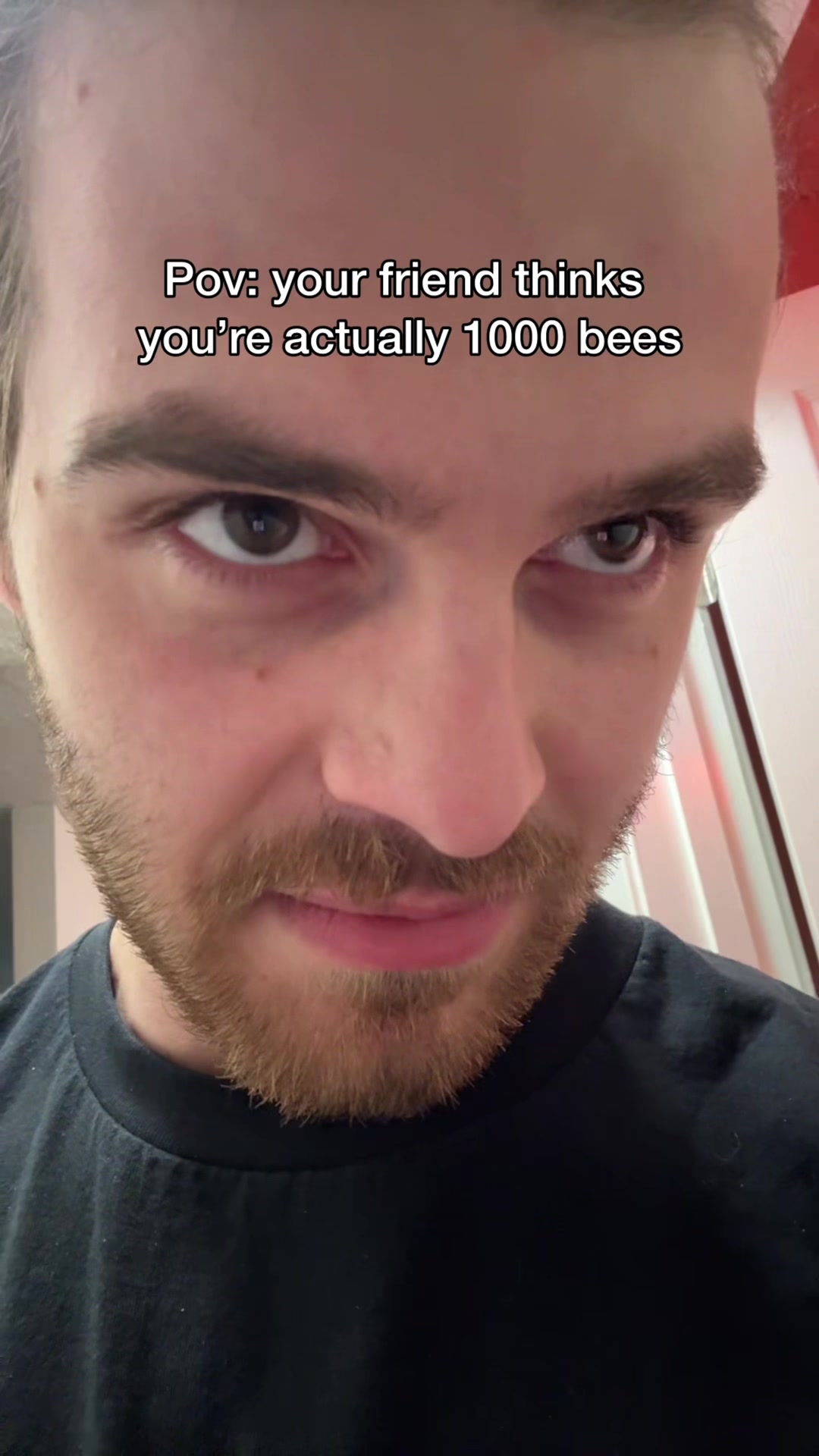 @Pov Seth