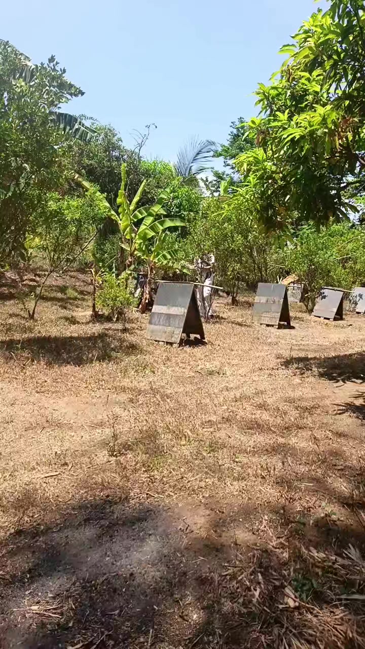 @EDUKADONG SABUNGERO