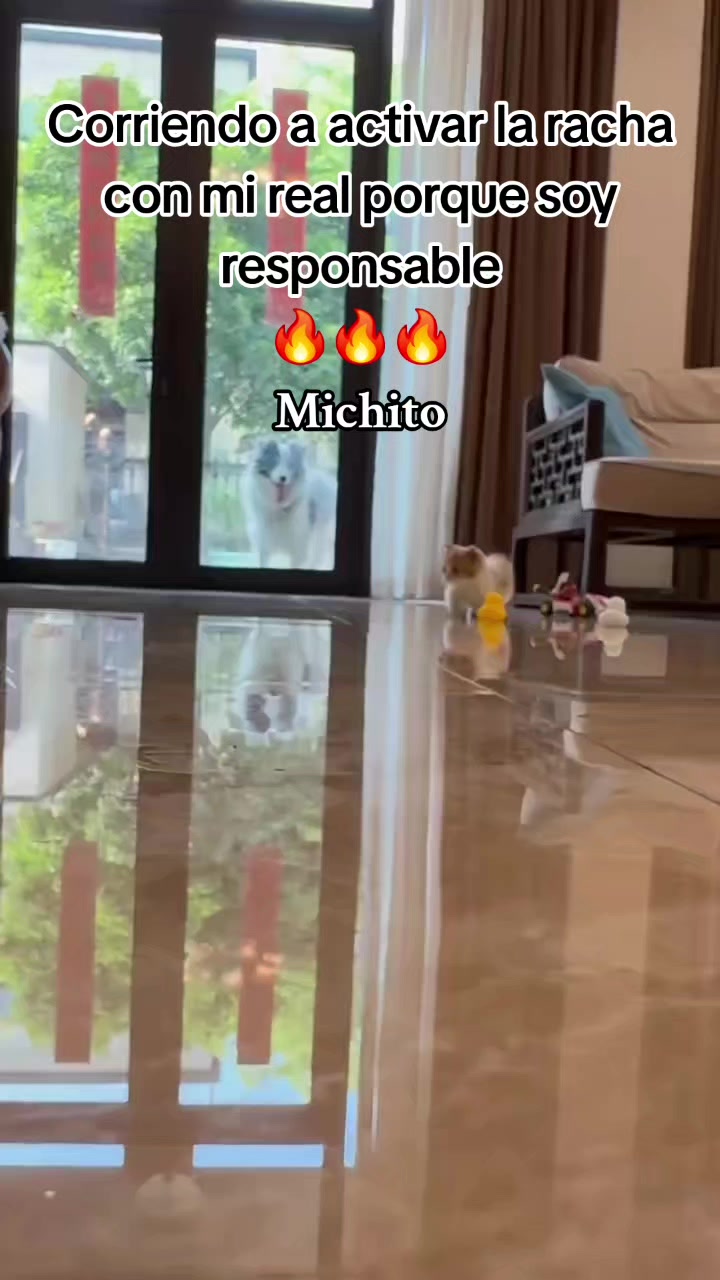 @Ing.Michito😸🇲🇽🇨🇴🌠🦁🐾