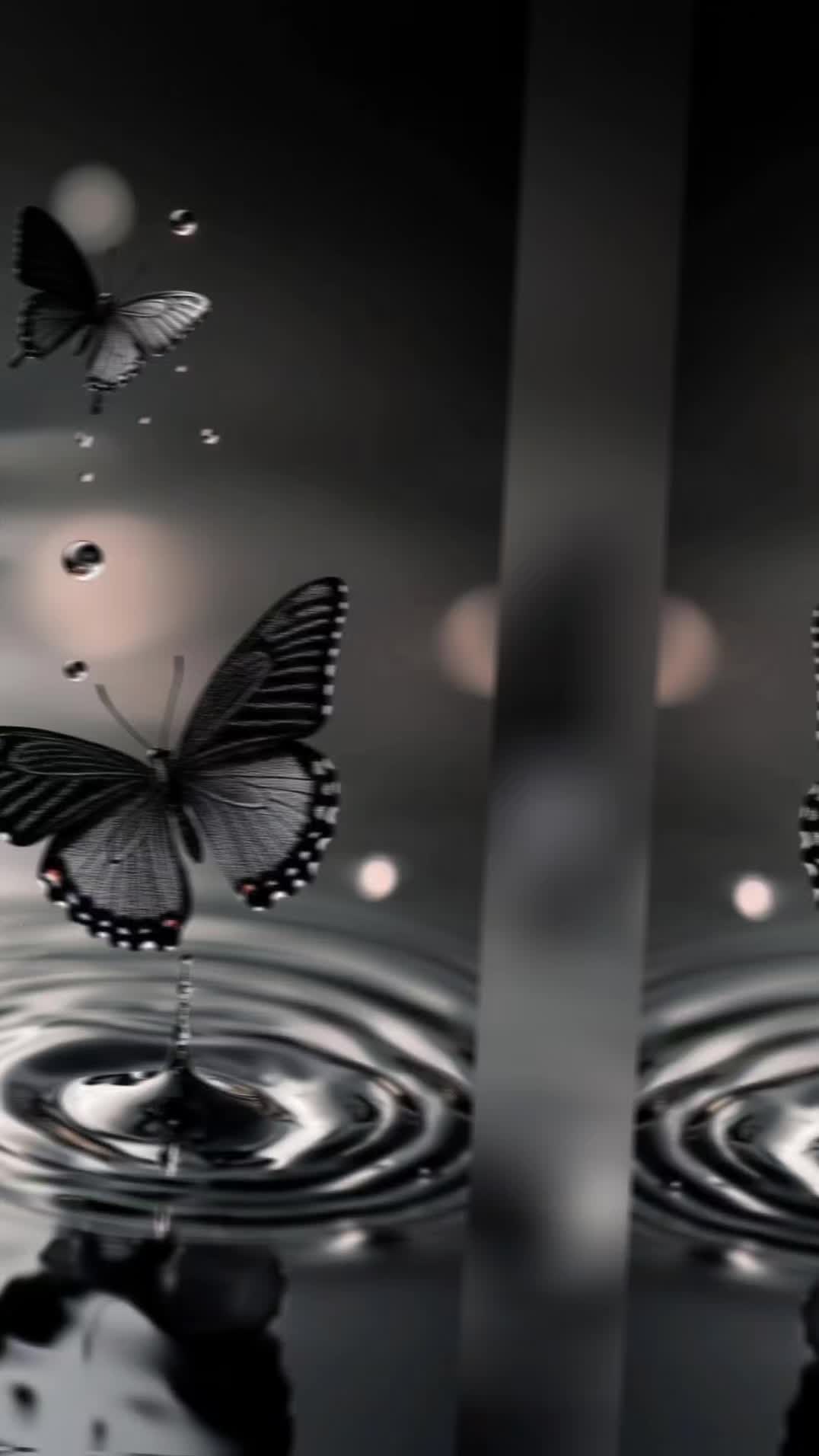 @ð§ðïžð
ïžð
ïžð
ïžð
ïžð
ïžðïžð§