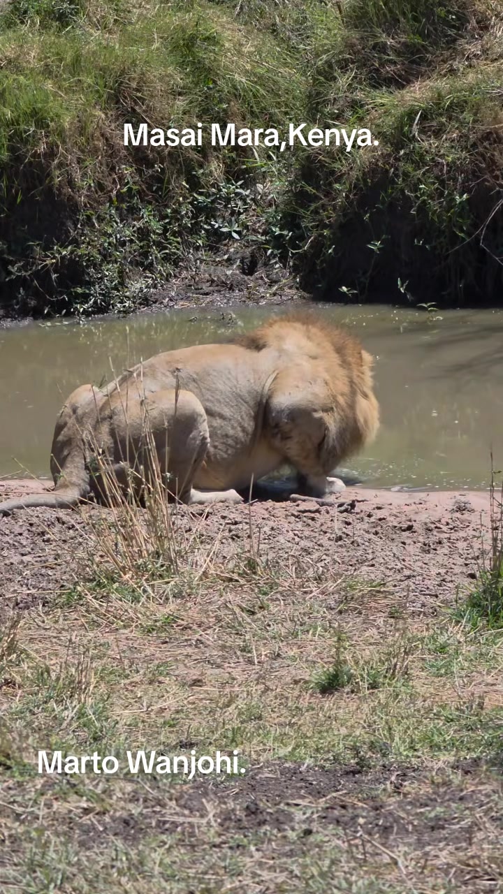 @Safaris with Marto Wanjohi.