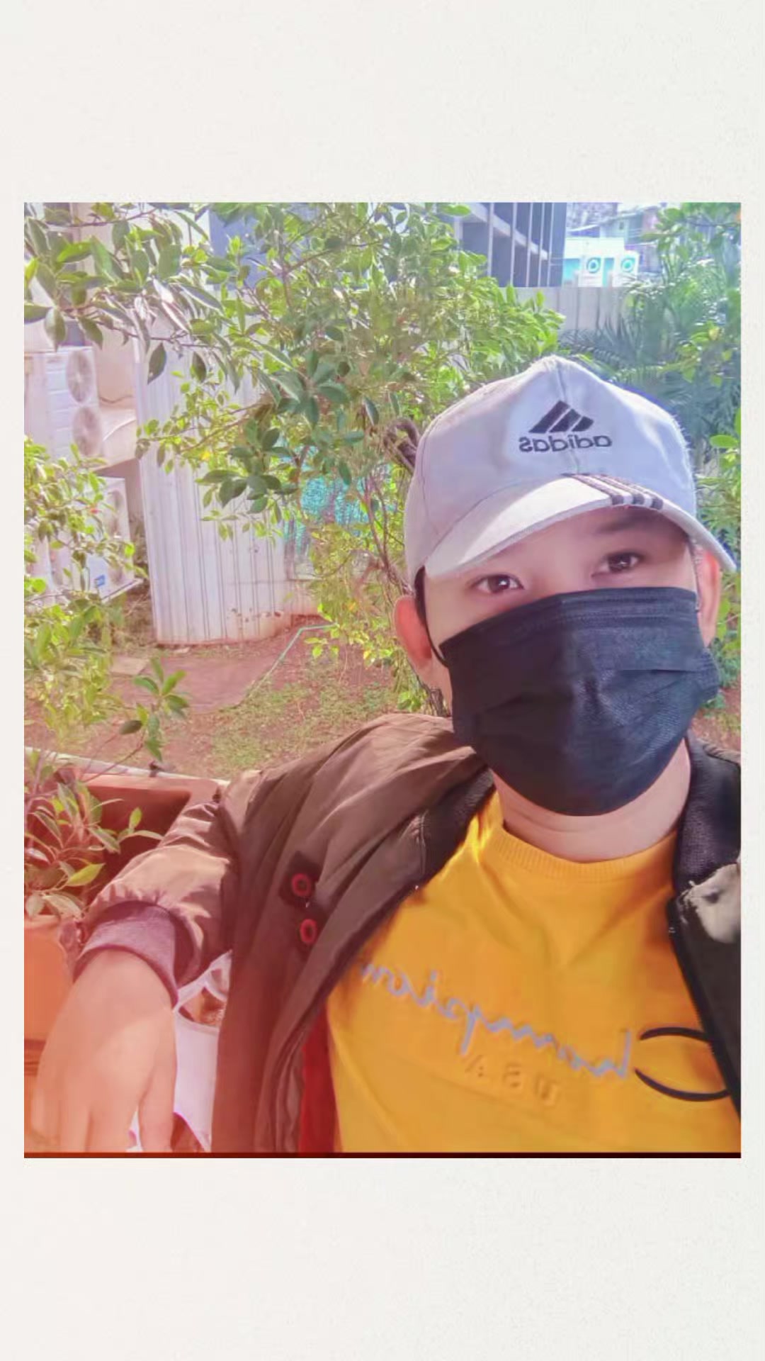 @เจมินิ