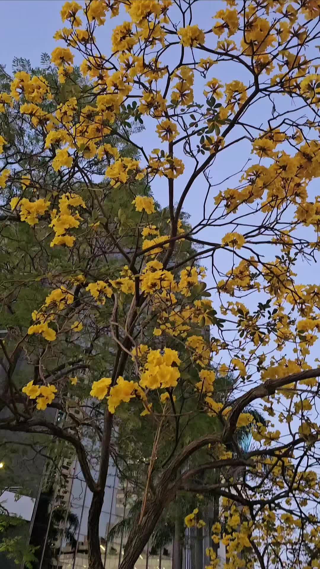 @jJjJjJj