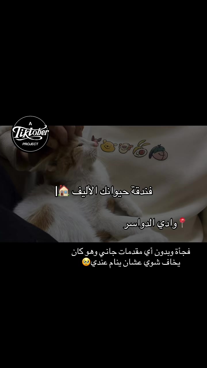@فندقة وادي الدواسر | طيور وقطط