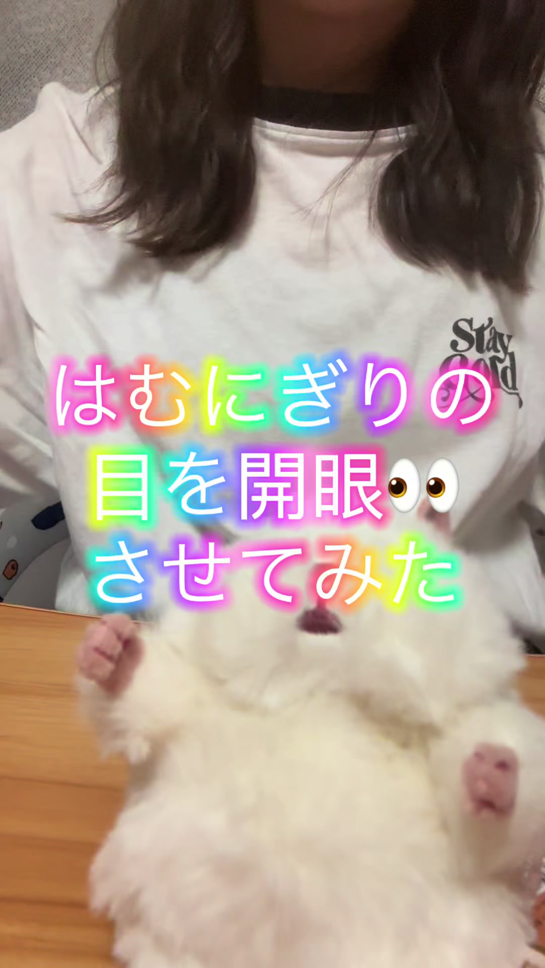 @はむにぎるね🌙