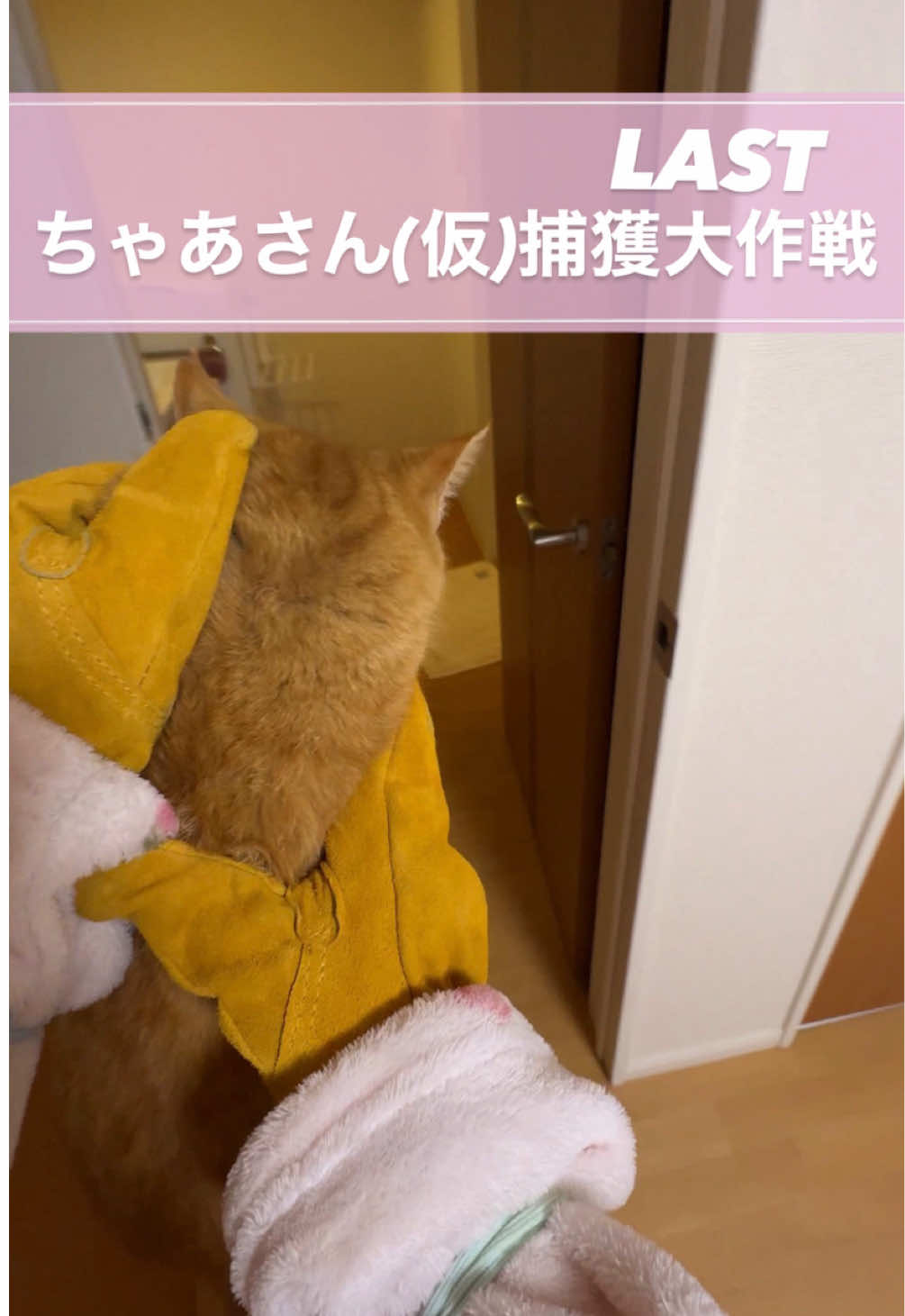 @さっことおちょ