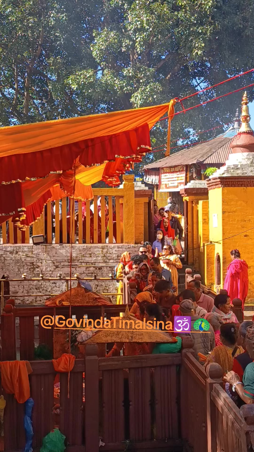 @Govinda Timalsina🕉🦚