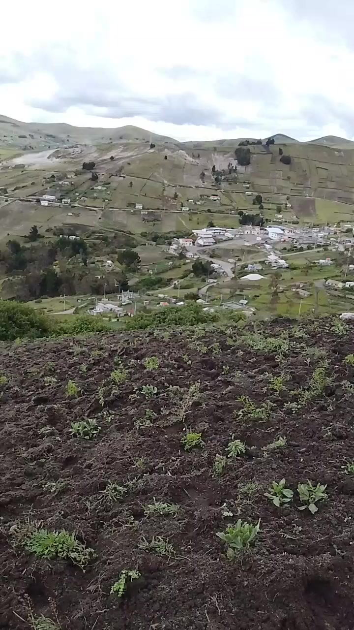 @mariaoto