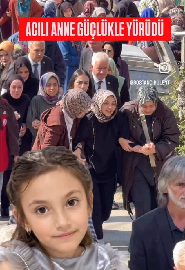 @kedifanatikleri