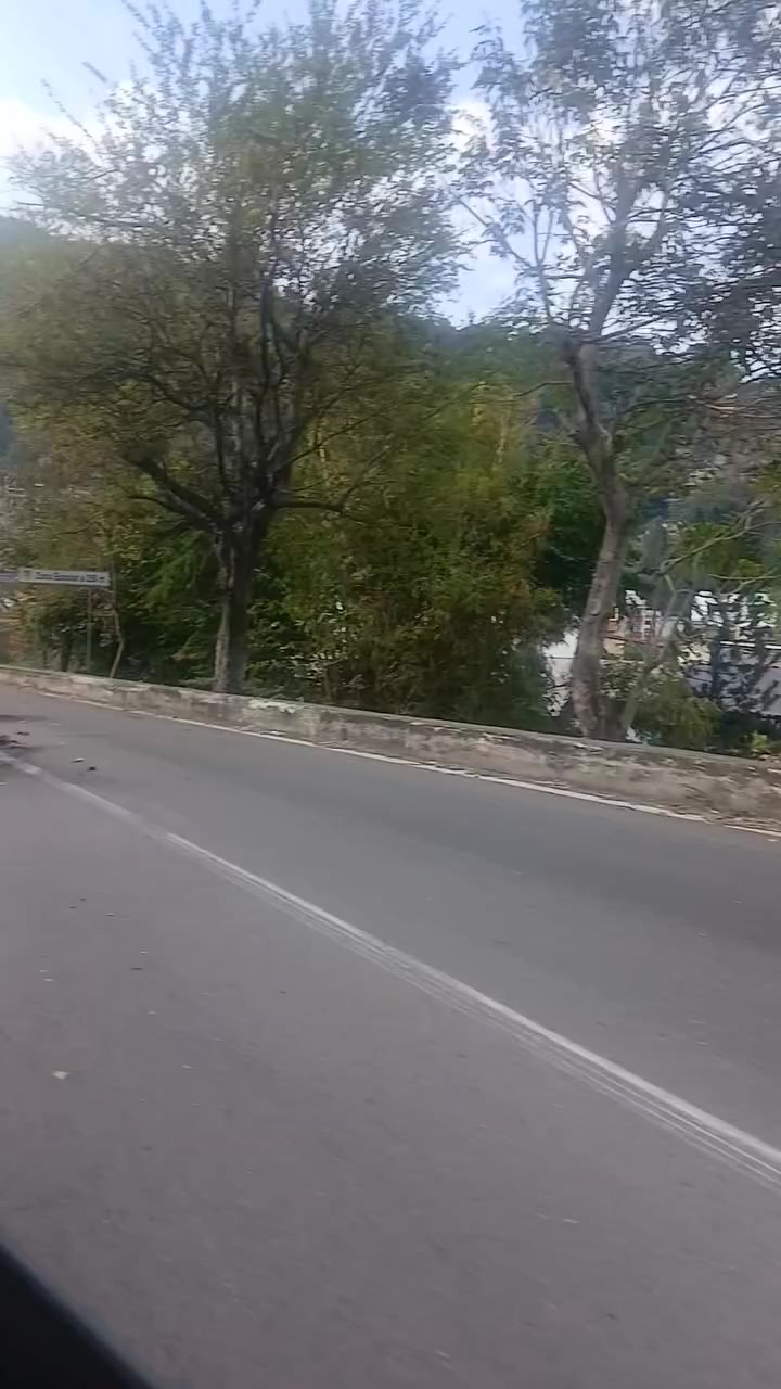 @Any SM 🐼