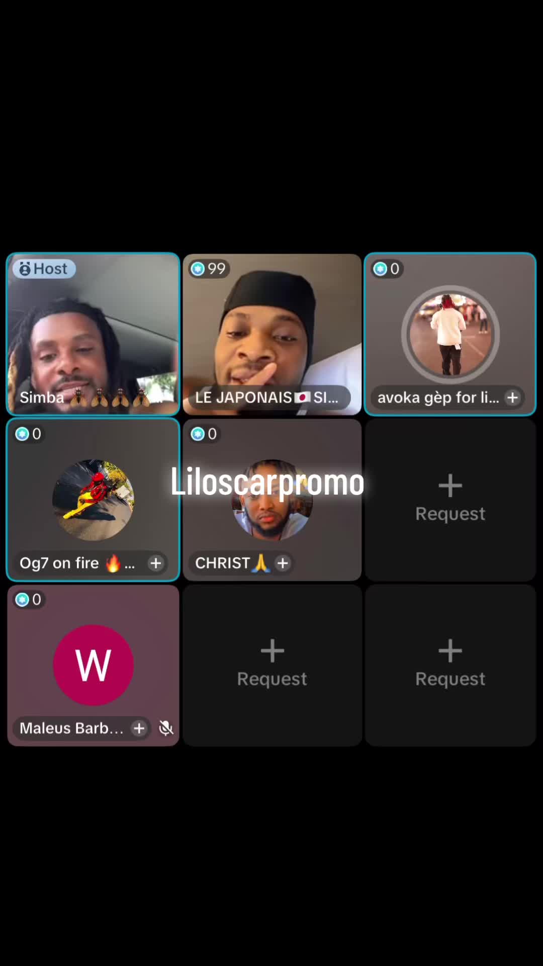 @Liloscarpromo