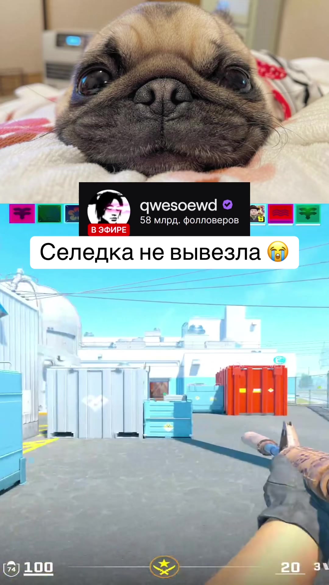 @qwesoewd_official