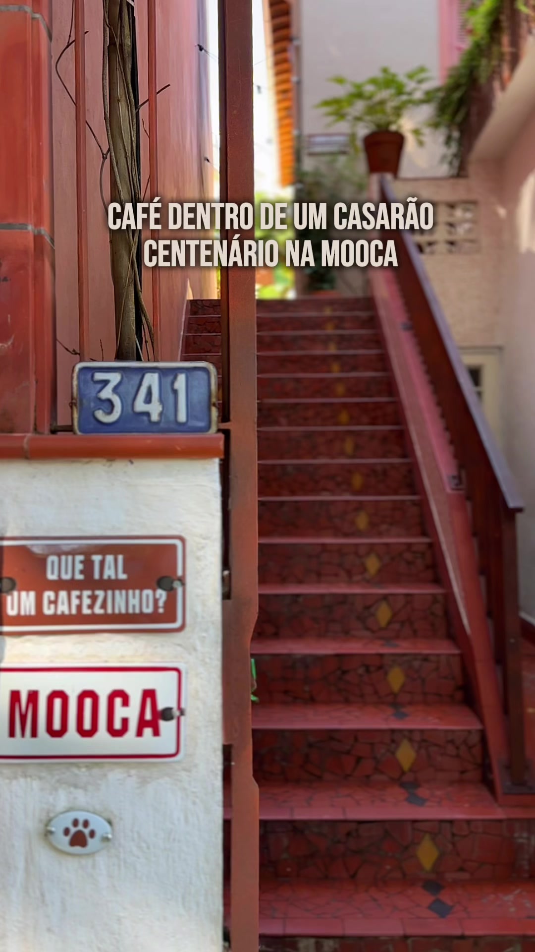 @jaysoares