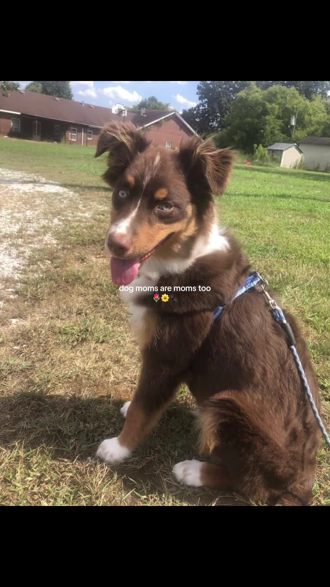 @🐾🖤❤️💛VelKel/Cassidy💛❤️🖤🐾