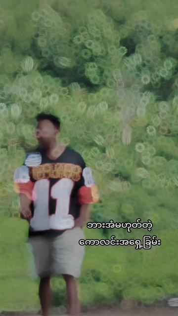 @Ye Yint Shine(ကောလင်းသား)
