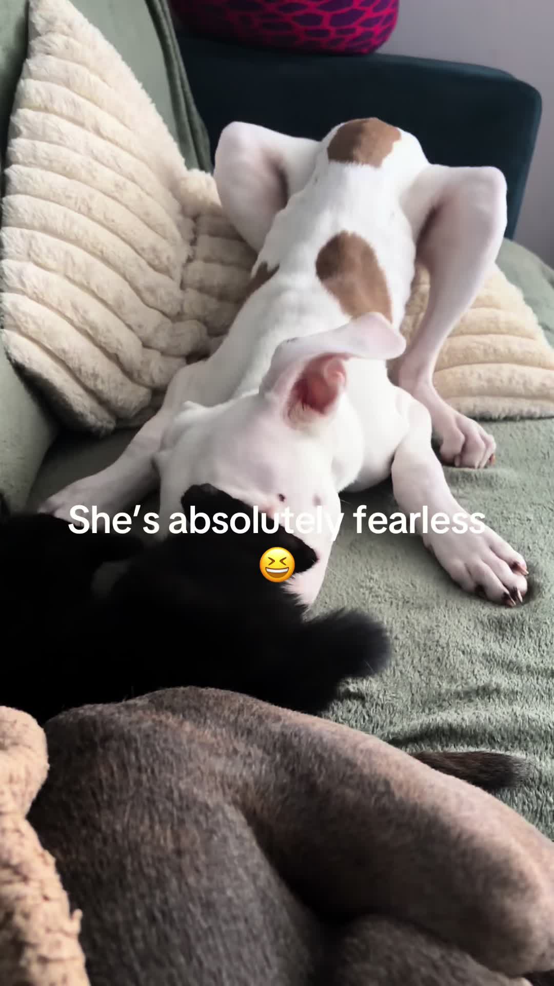 @Inkedmum