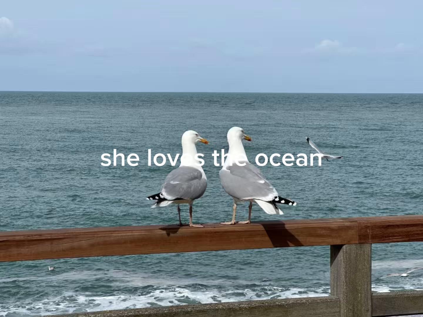 @Mack