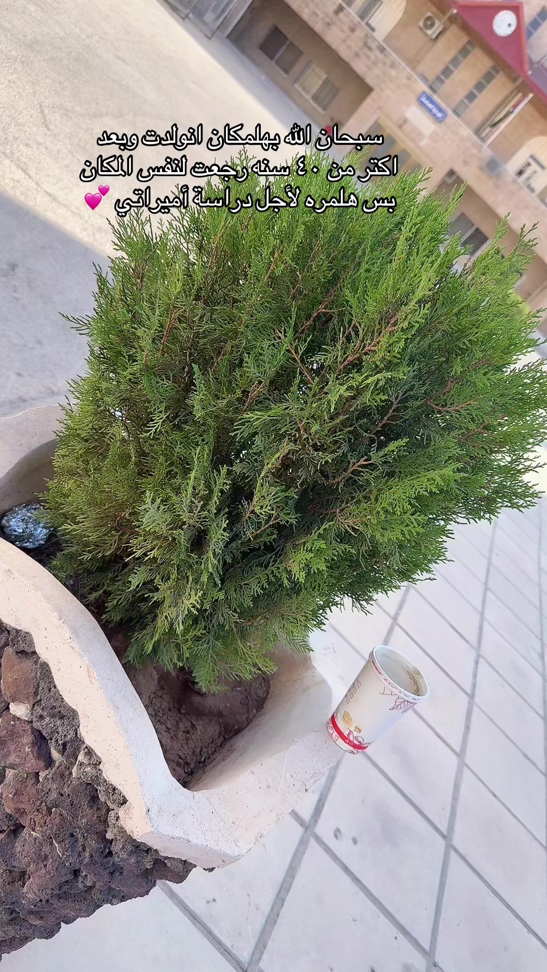 @أبو جوان 💞 ( بناتي حياتي)💞