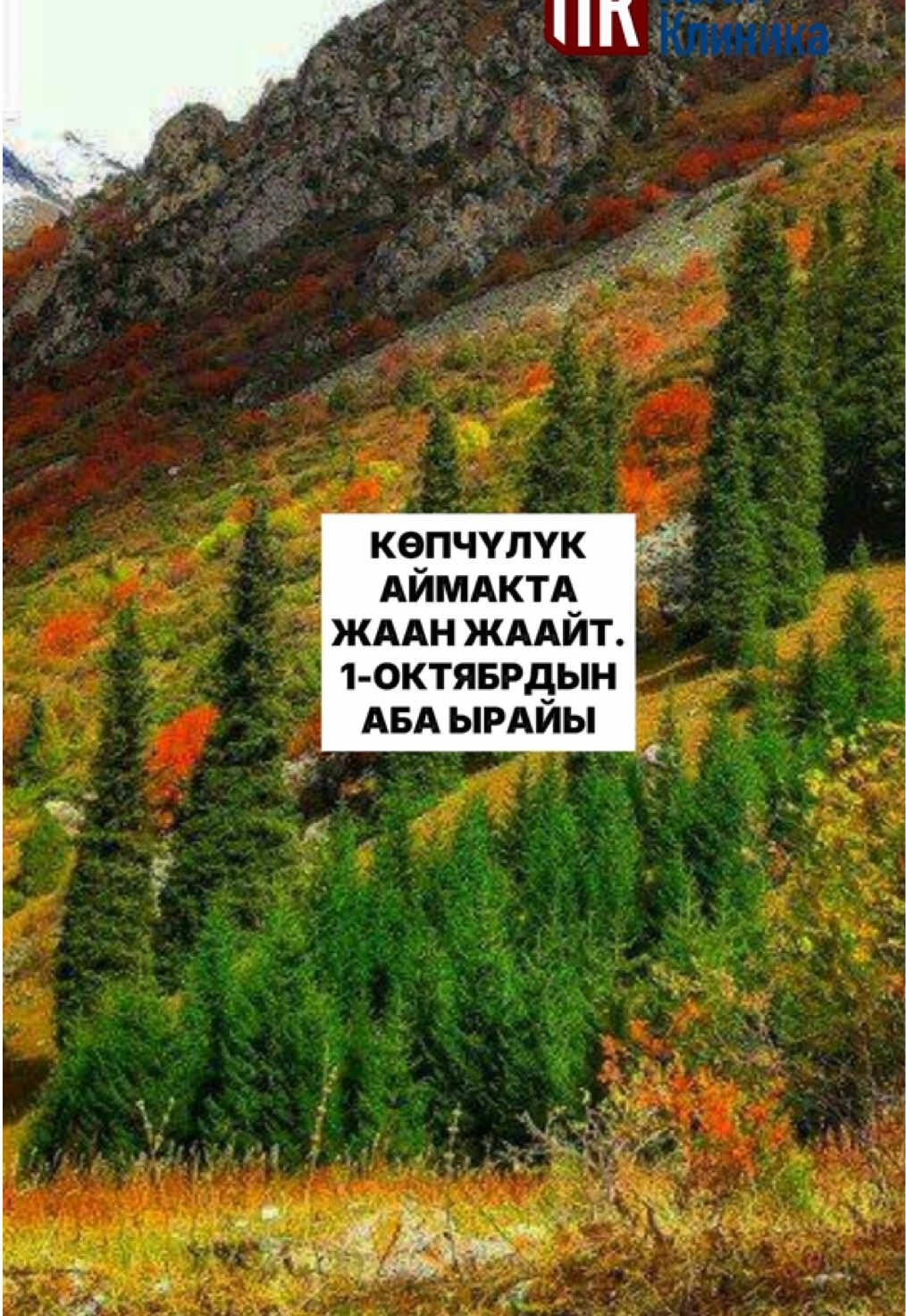 @politklinika