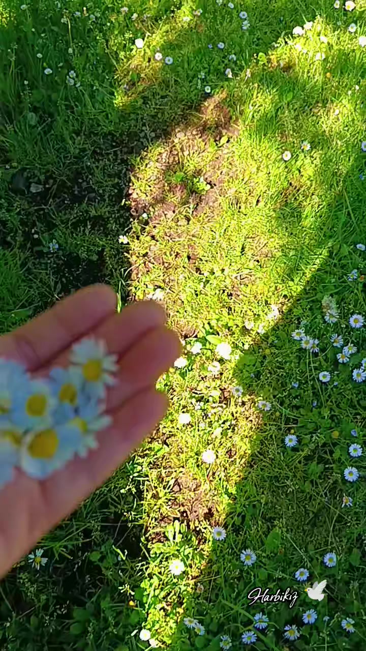 @𝓜𝓮𝓵𝓪𝓱𝓪𝓽 🕊️ 𝓔𝓻𝓴𝓪𝓷