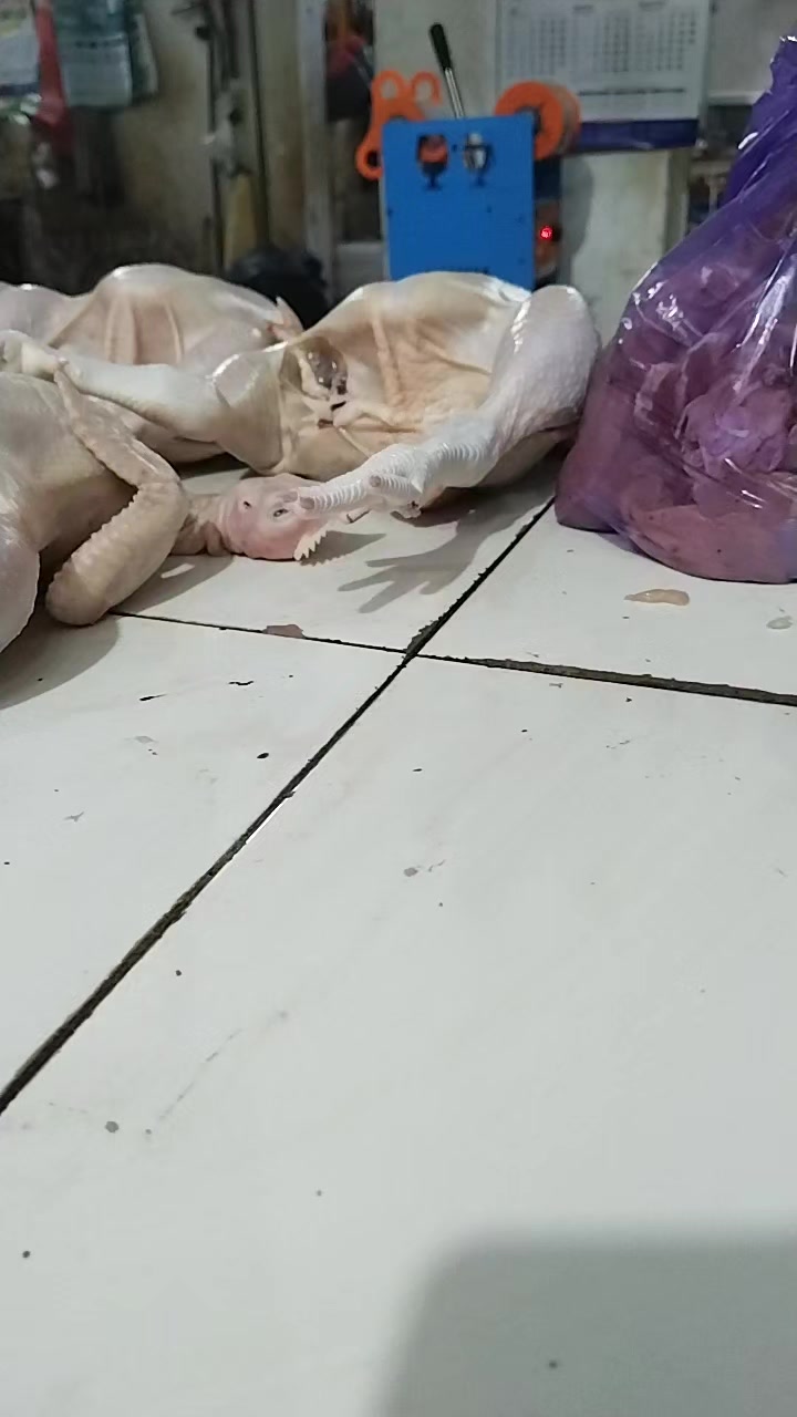 @Aji Jaya Aji Jaya