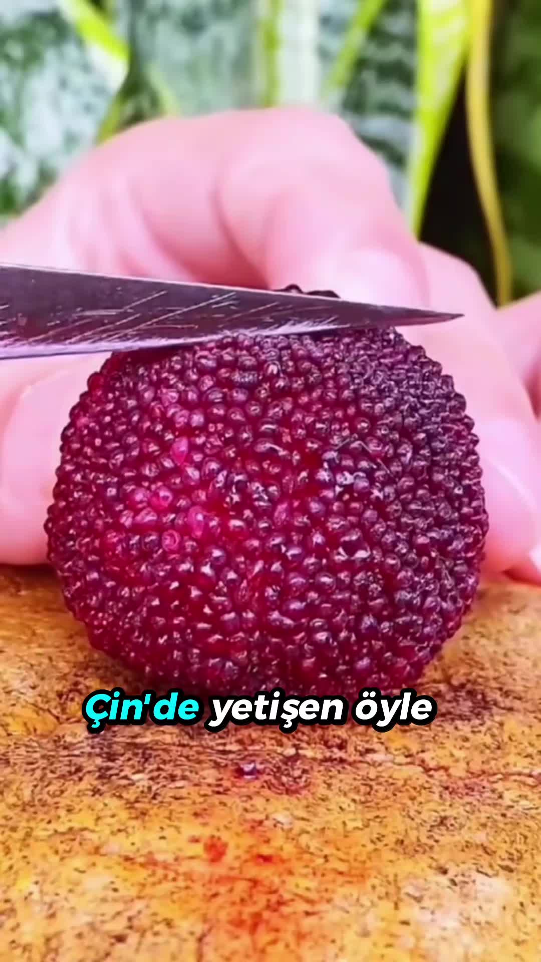 @beynegrafya