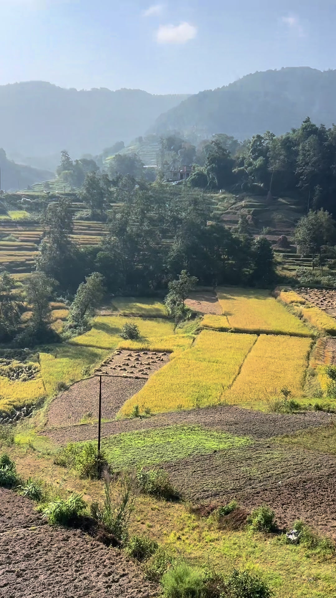 @malatibasnet38