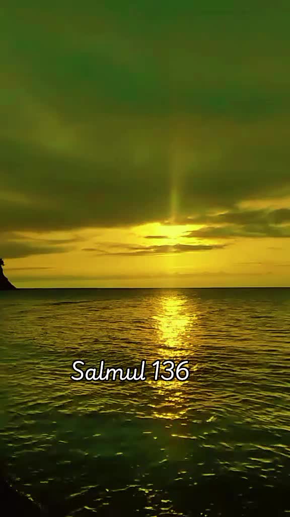 @@niculinailie811