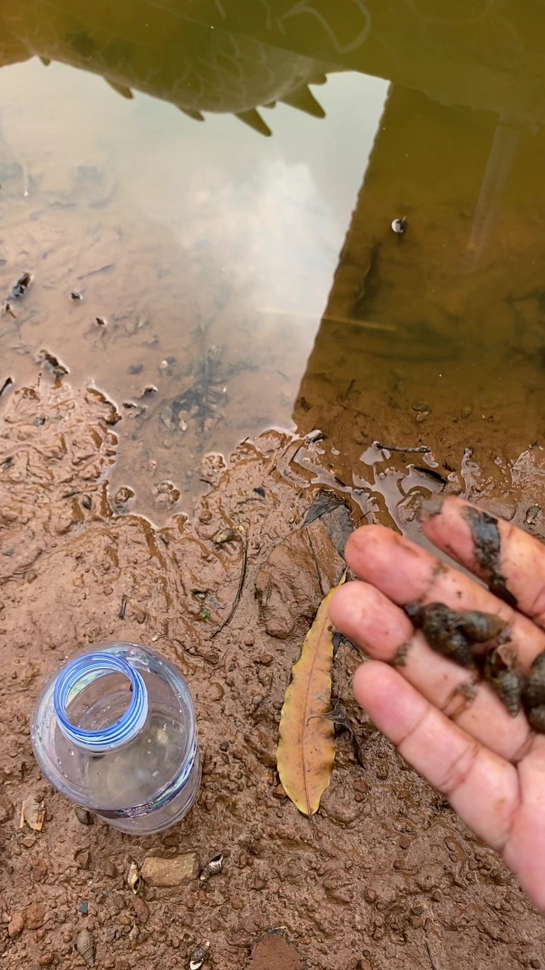 @Piara ikan di galon