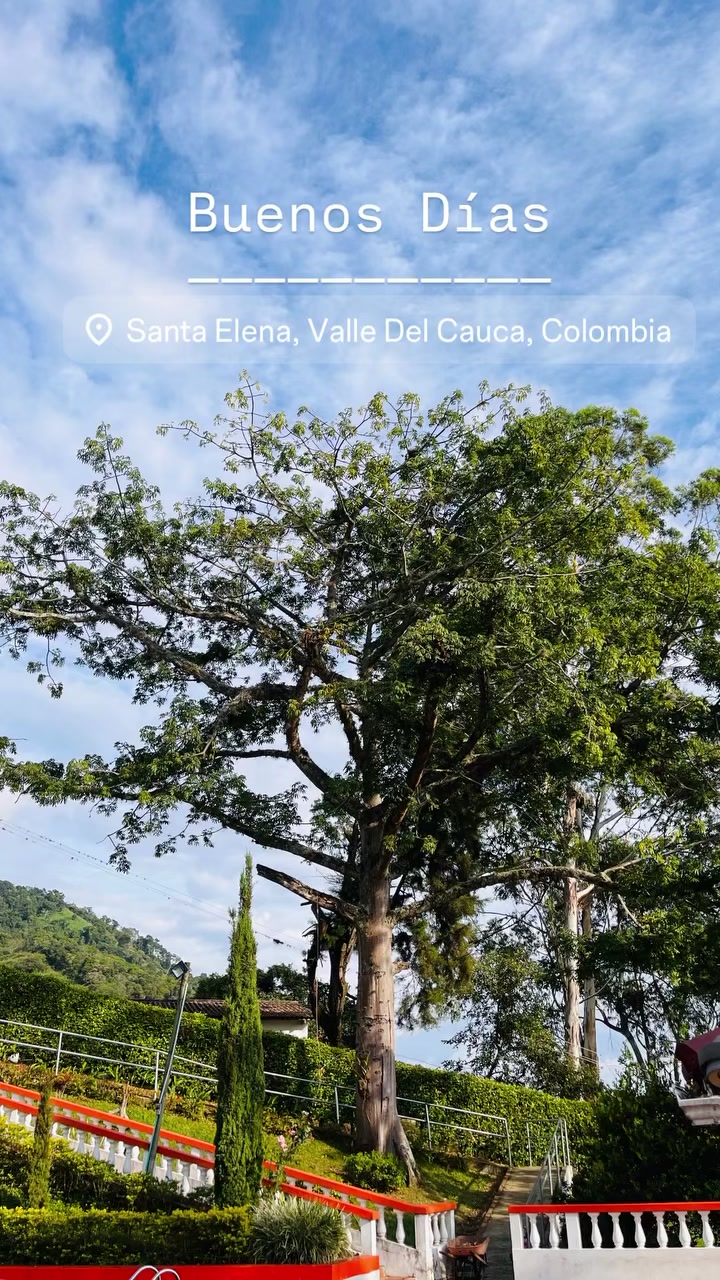 @finca la maria el castillo