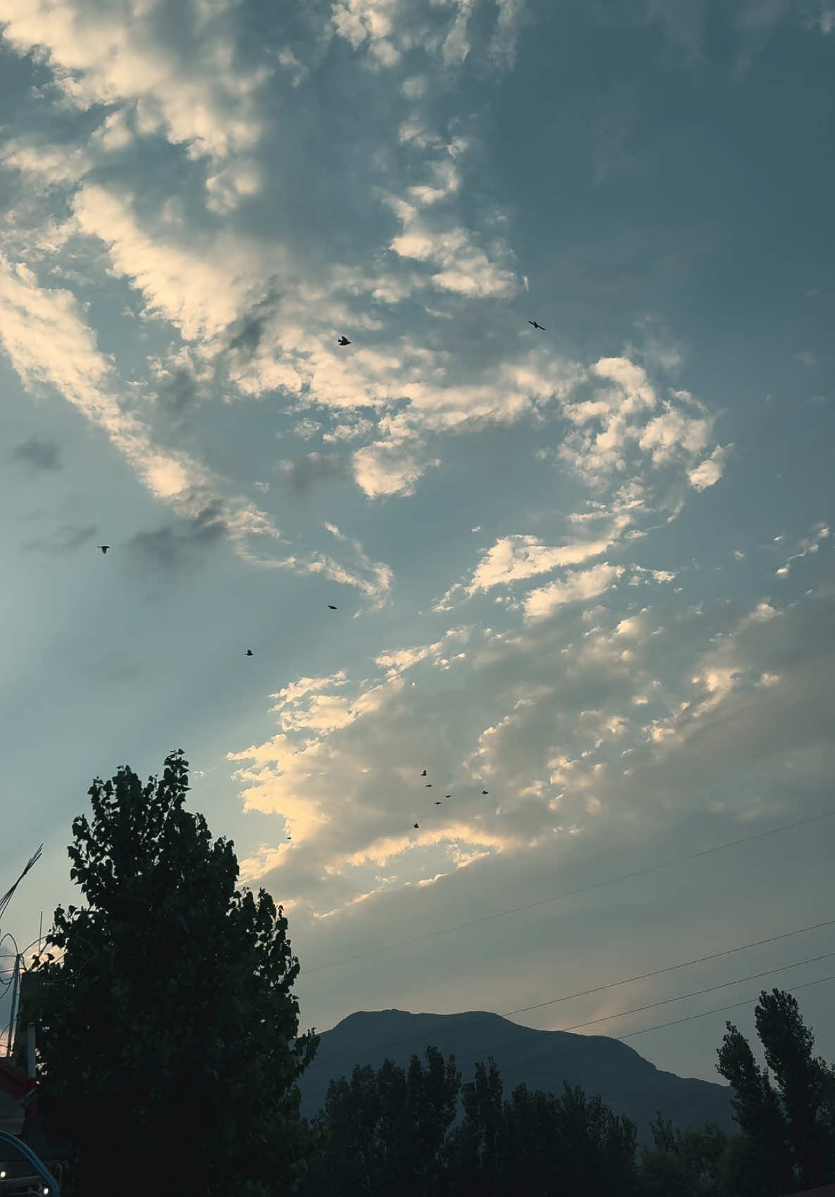 @🍁غنی خان🍁