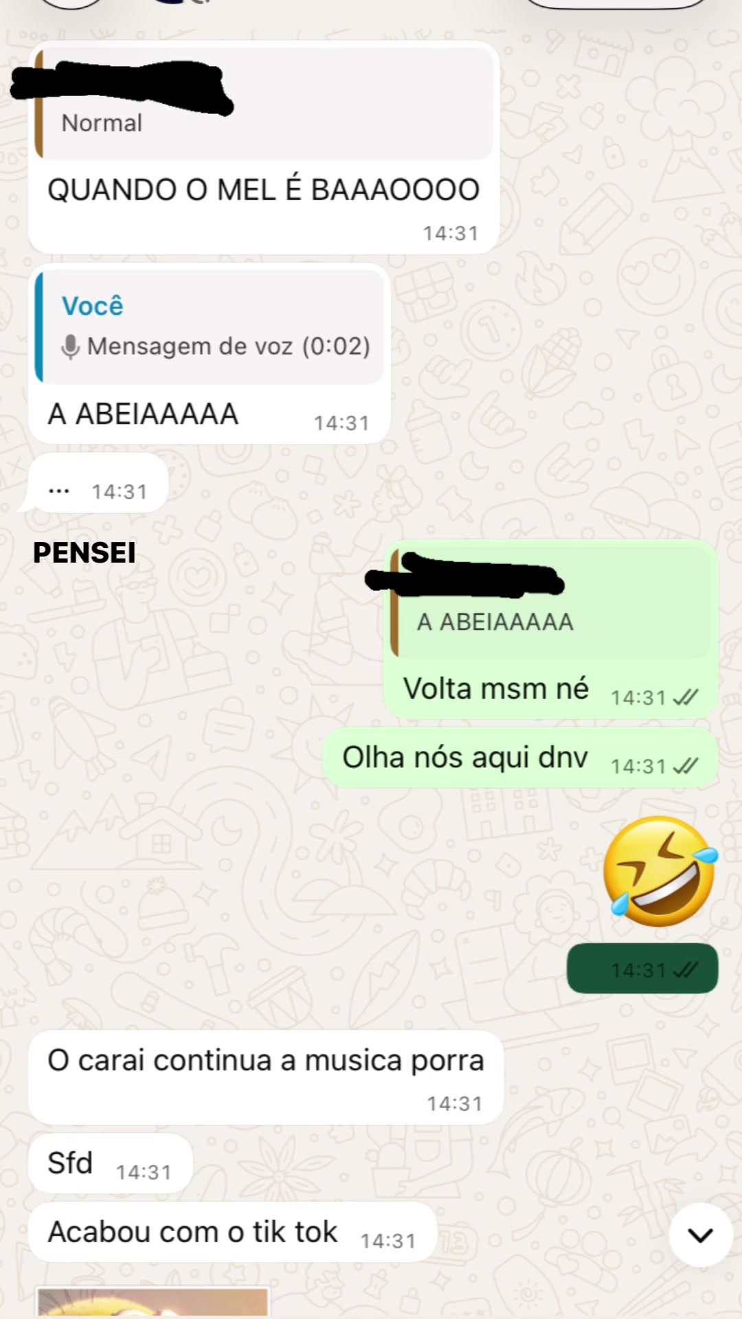 @La&iacute;s Vit&oacute;ria Pelicioli 🫦