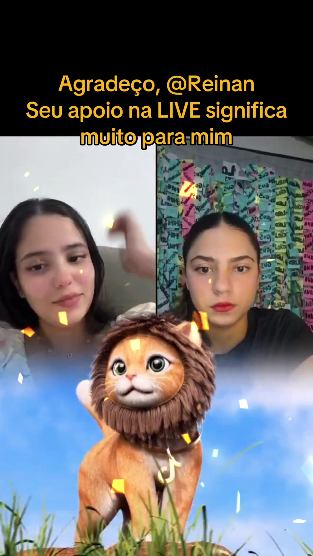 @Camille Fernandes