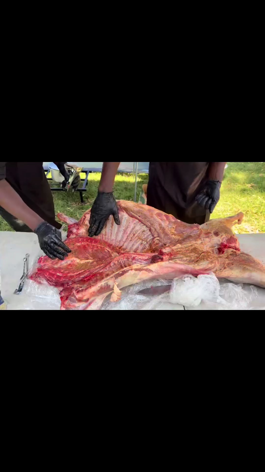 @Legendary_Spit_Braai