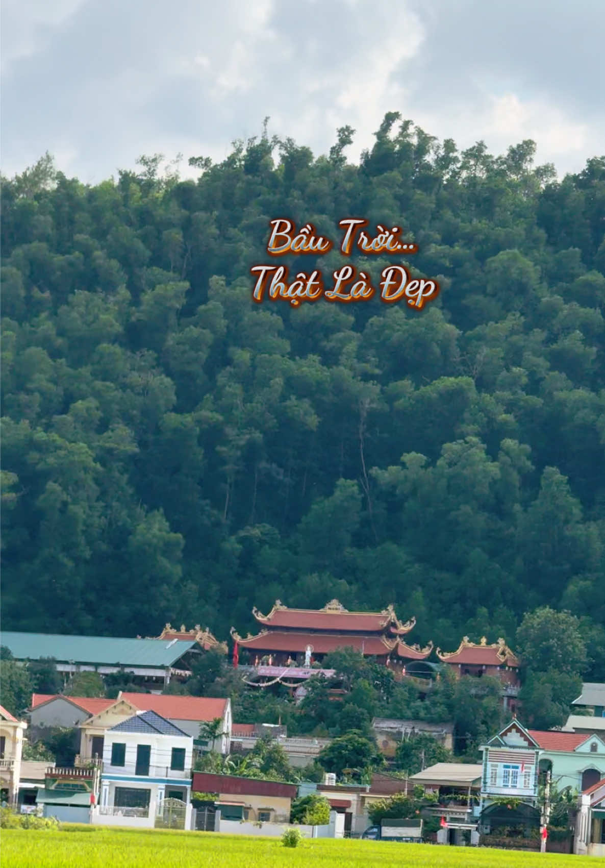 @Hoàng Nam
