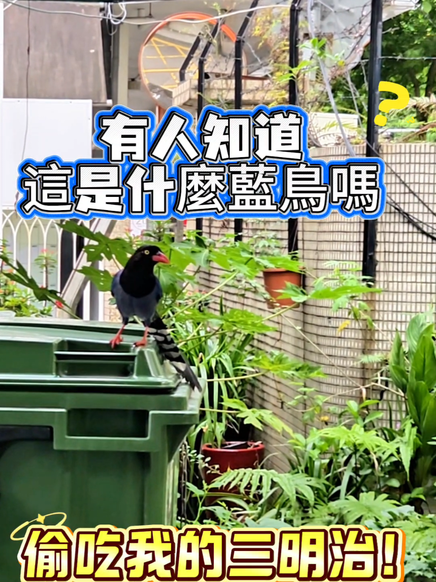 @綠野鮮總