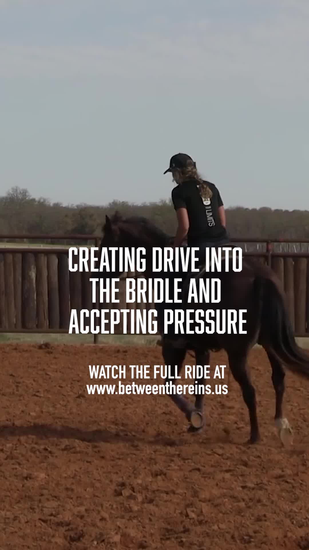 @Between The Reins