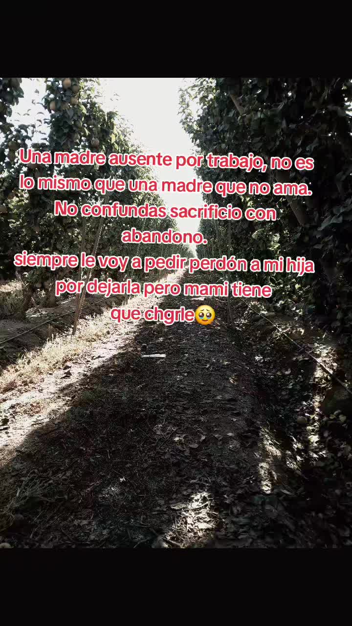 @la jarochita ๐๐๐๐