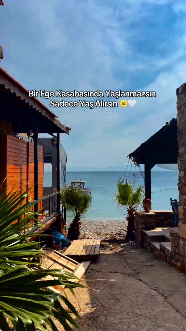 @gezentti