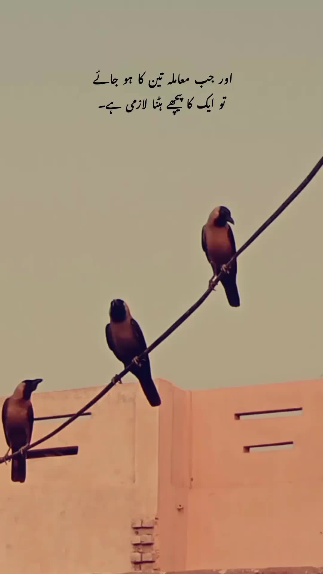 @❤️🔥🕊