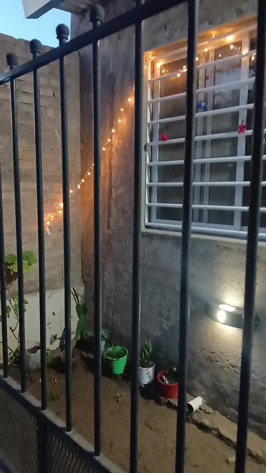 @Anii🥳