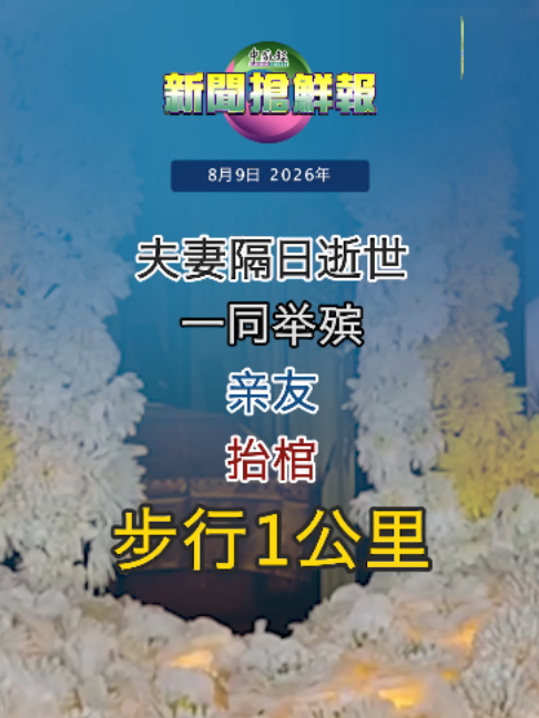 @中国报